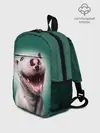 Рюкзак детский / Bully