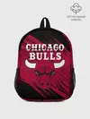 Рюкзак детский / Чикаго Буллз