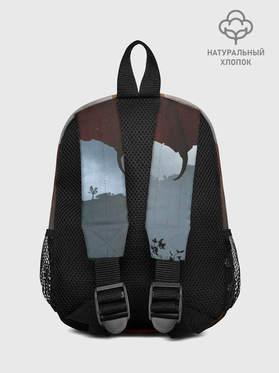 Рюкзак детский / Demons Souls