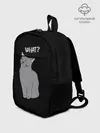 Рюкзак детский / What cat
