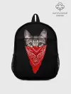 Рюкзак детский / Gangsta Cat