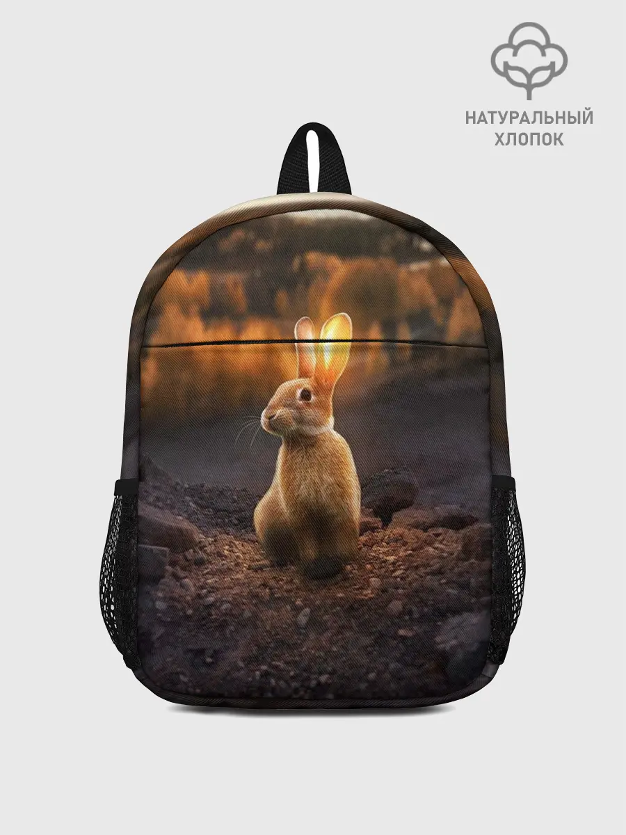 Рюкзак детский / Солнечный зайчик