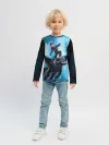 Детский лонгслив / Как приручить дракона 3