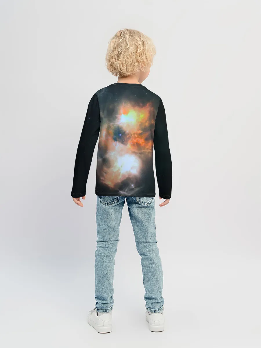 Детский лонгслив / Night Fury