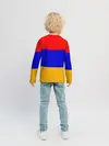 Детский лонгслив / Армения. Флаг.