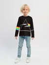 Детский лонгслив / PINK FLOYD