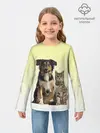Детский лонгслив / кошка и собака друзья