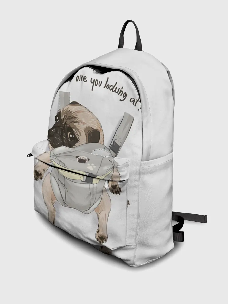 Рюкзак джинсовый / Мопс в рюкзаке