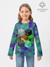 Детский лонгслив / Minecraft
