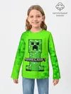Детский лонгслив / MINECRAFT