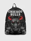 Рюкзак джинсовый / CHICAGO BULLS ЯРОСТНЫЙ БЫК