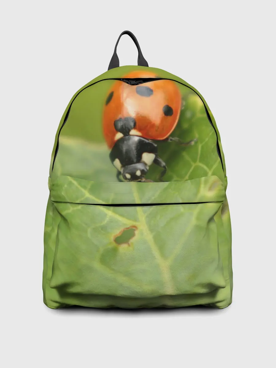 Рюкзак джинсовый / Божья коровка