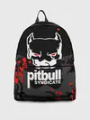 Рюкзак джинсовый / PITBULL SYNDICATE / ПИТБУДЬ