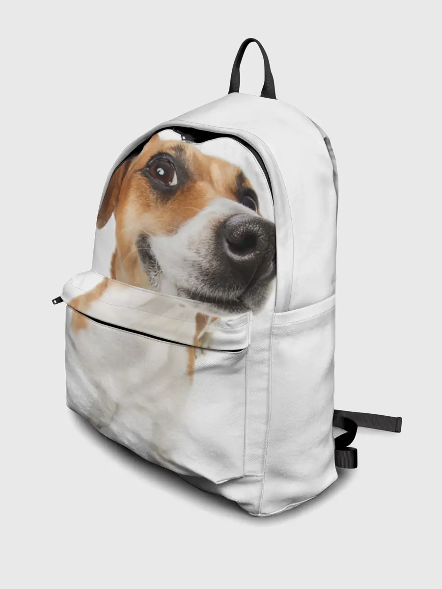 Рюкзак джинсовый / Собака