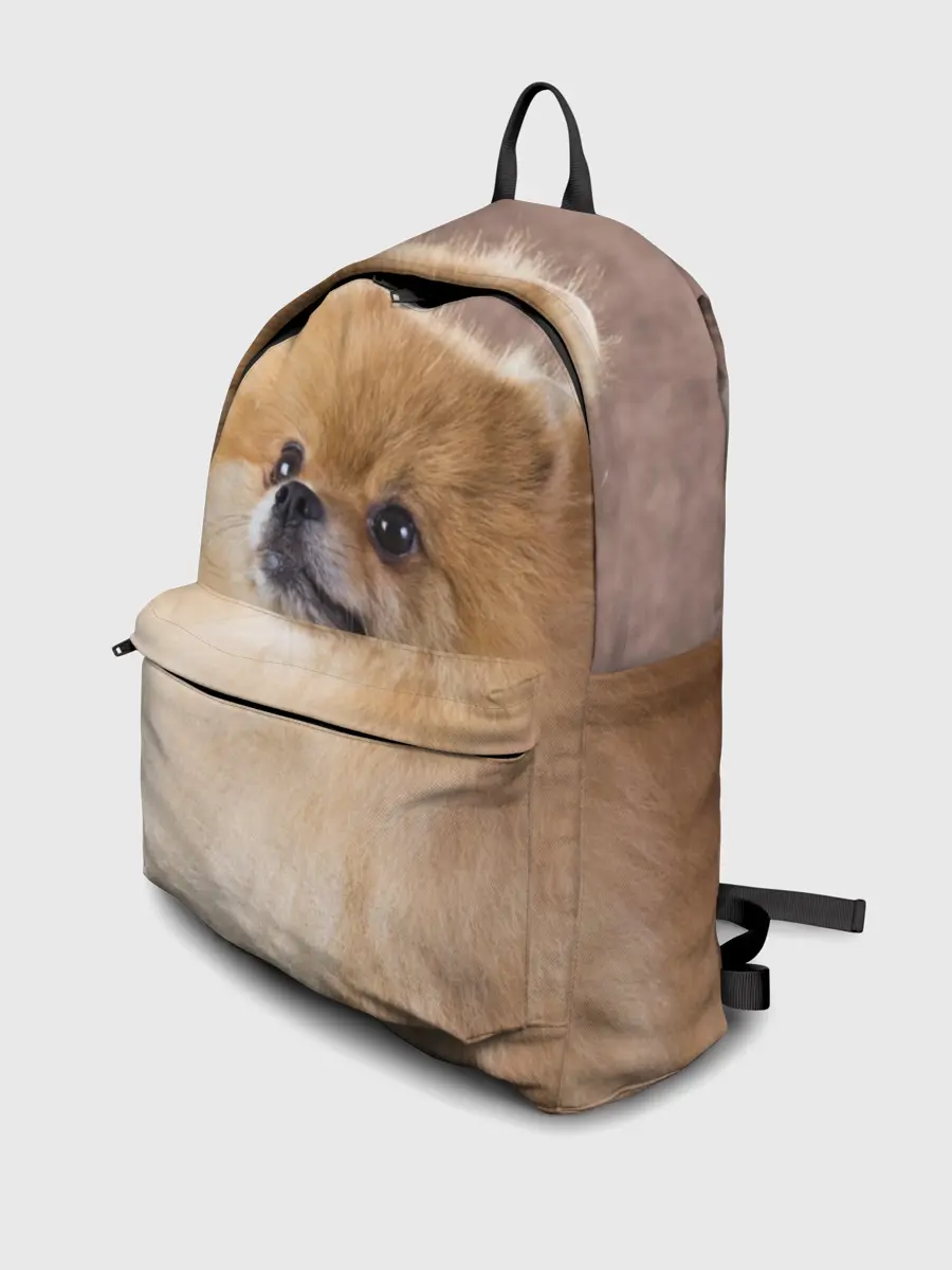 Рюкзак джинсовый / Шпитс