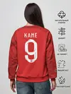Женский свитшот / Kane away WC 2018