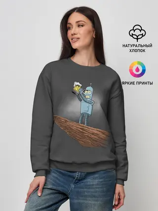 Женский свитшот / Бендер