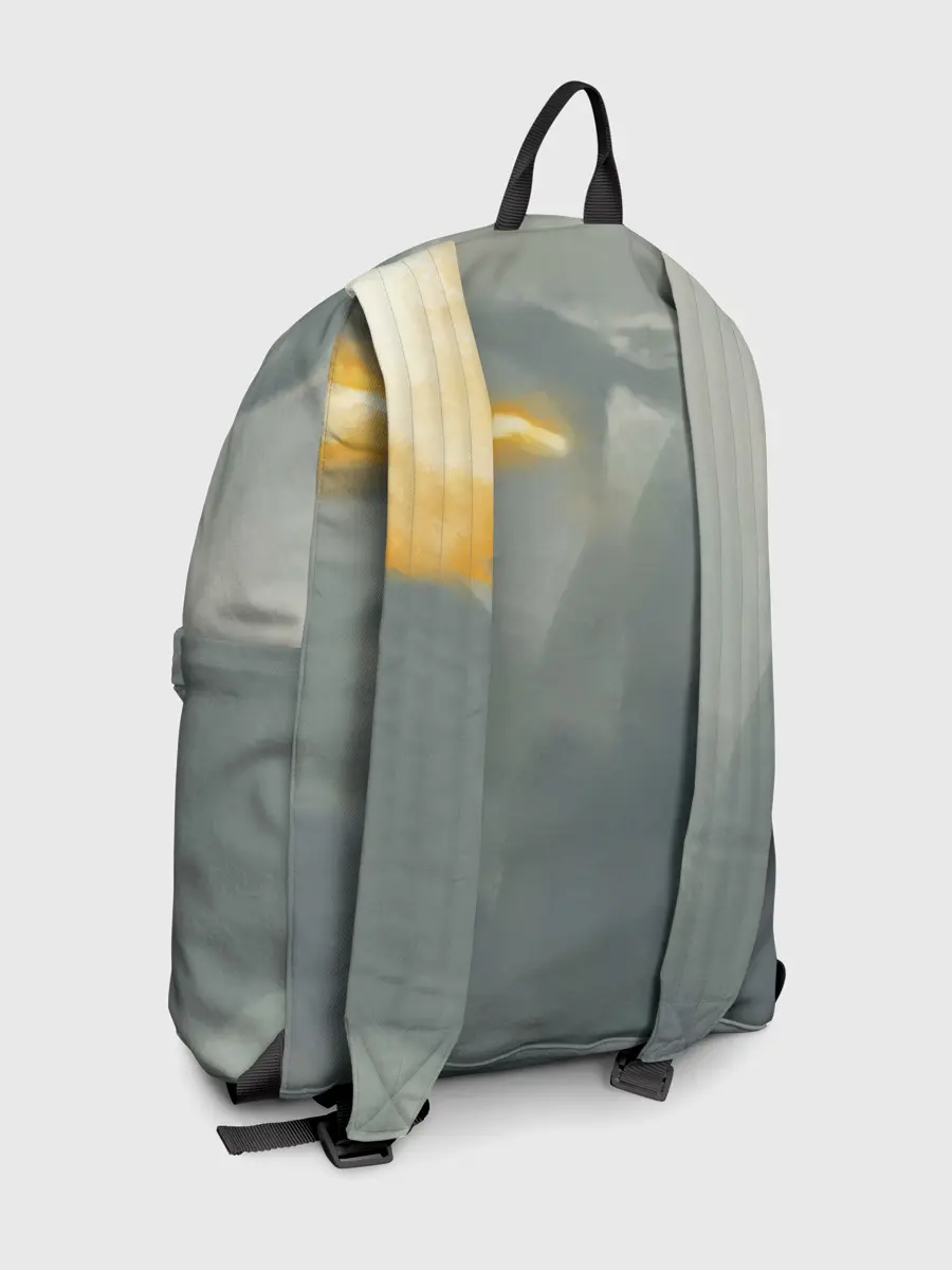 Рюкзак джинсовый / Dragonborne is here