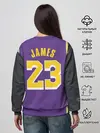 Женский свитшот / James LA Lakers 2019
