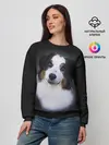 Женский свитшот / Собака