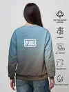 Женский свитшот / PUBG