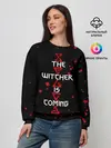 Женский свитшот / The Witcher Is Coming