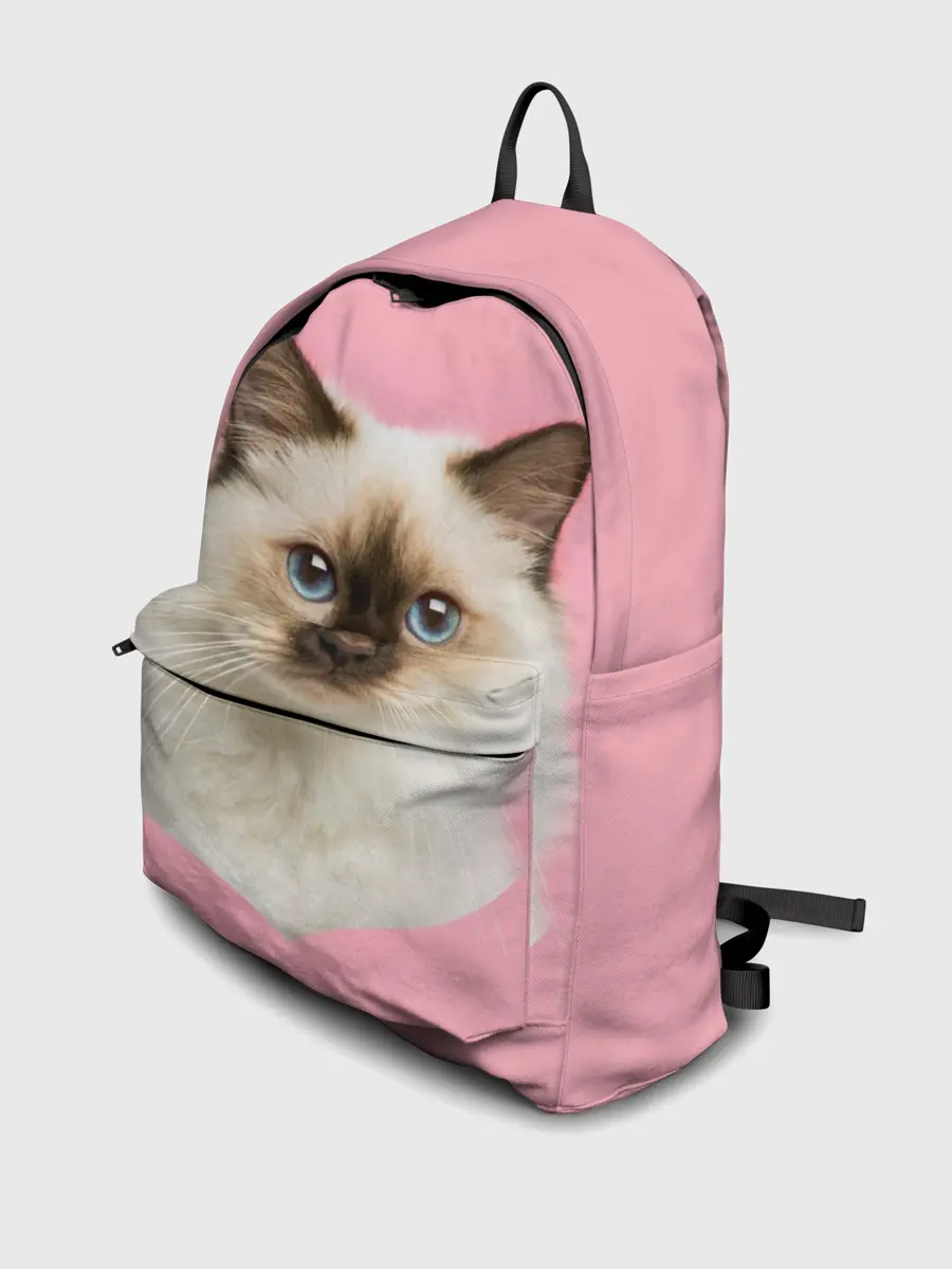 Рюкзак джинсовый / Пушистый кот