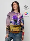 Женский свитшот / PUBG