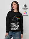 Женский свитшот / PINK FLOYD