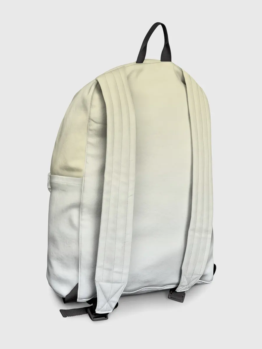 Рюкзак джинсовый / Чашка с суккулентами