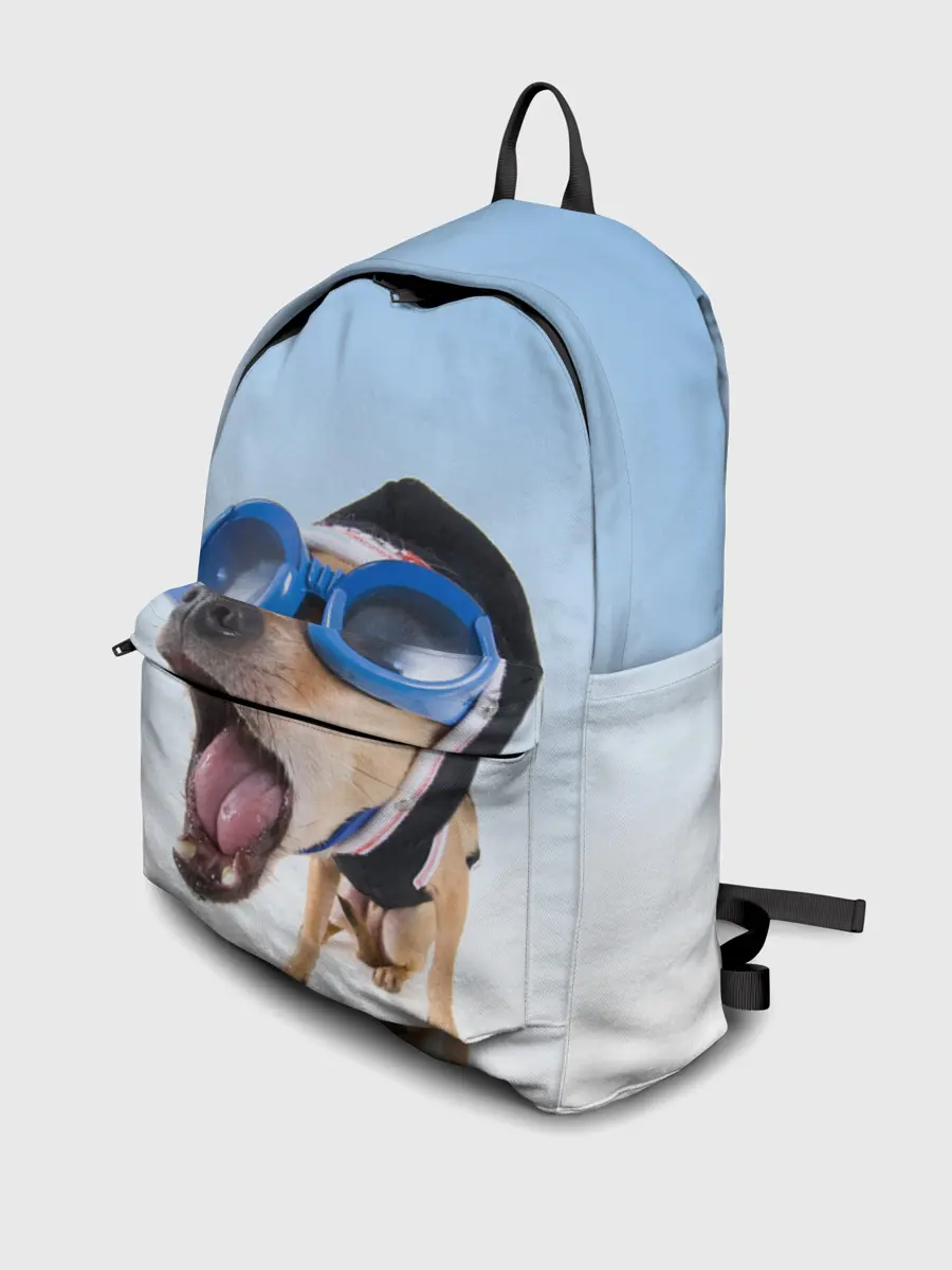 Рюкзак джинсовый / собака в очках