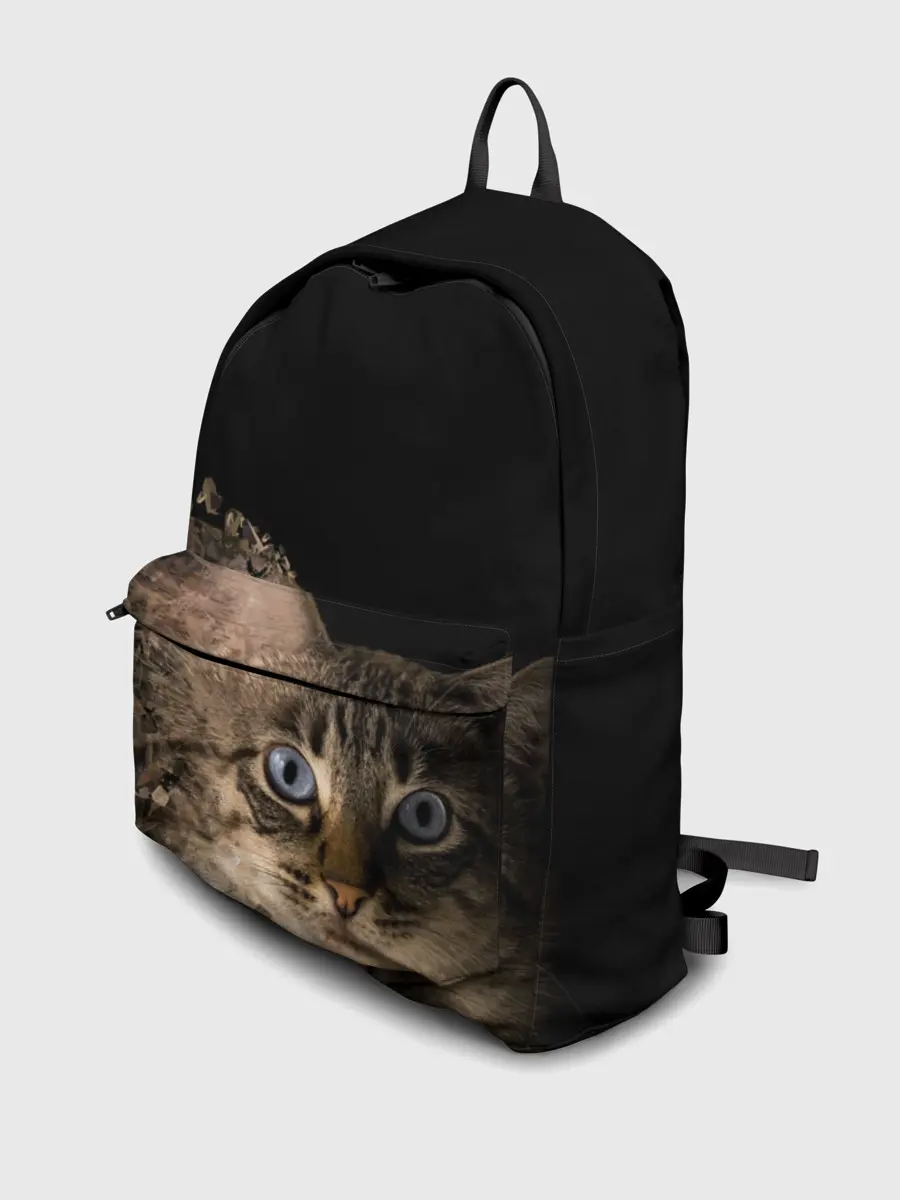 Рюкзак джинсовый / Disintegrating Cat