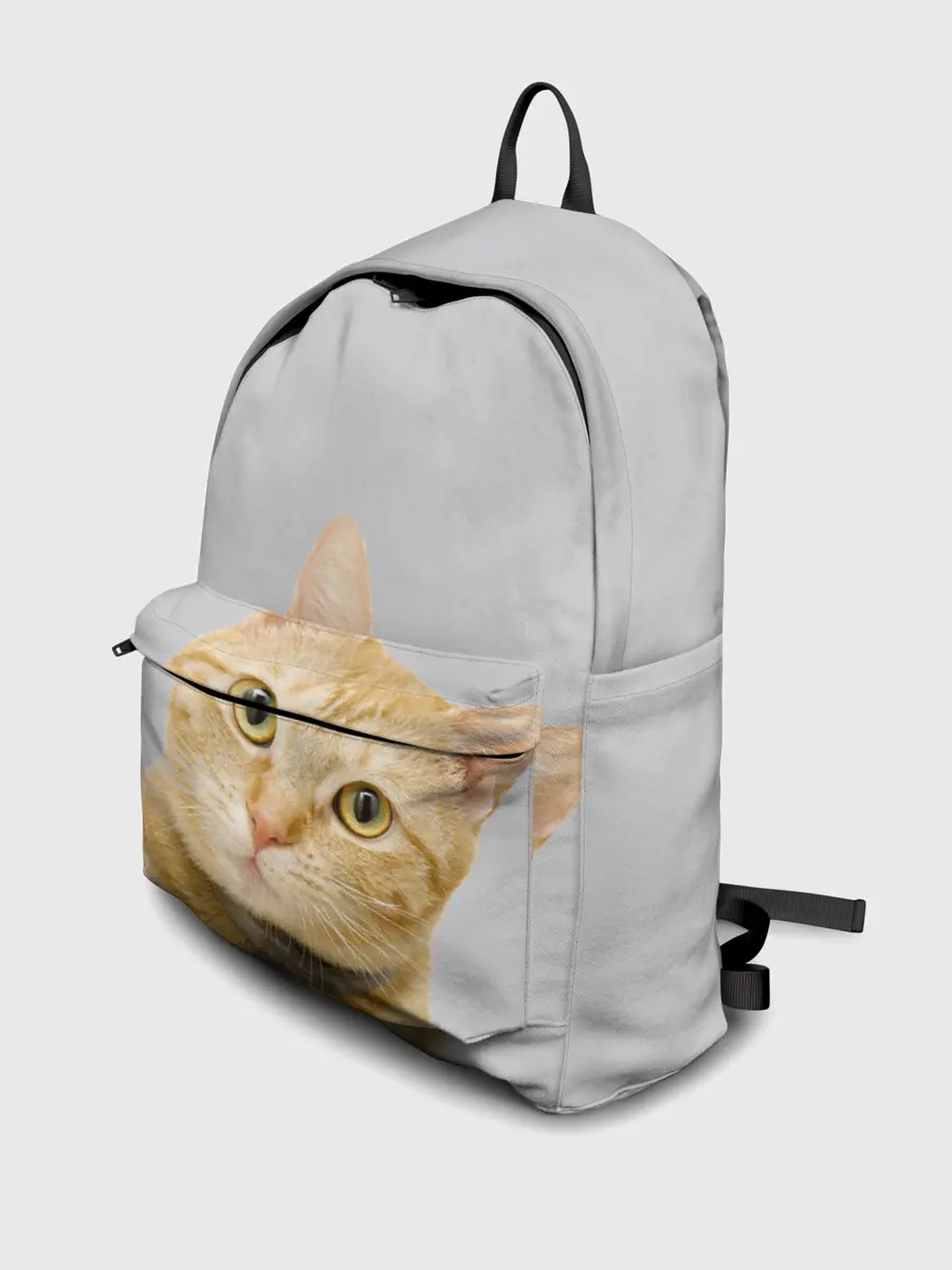 Рюкзак джинсовый / Рыжий котик