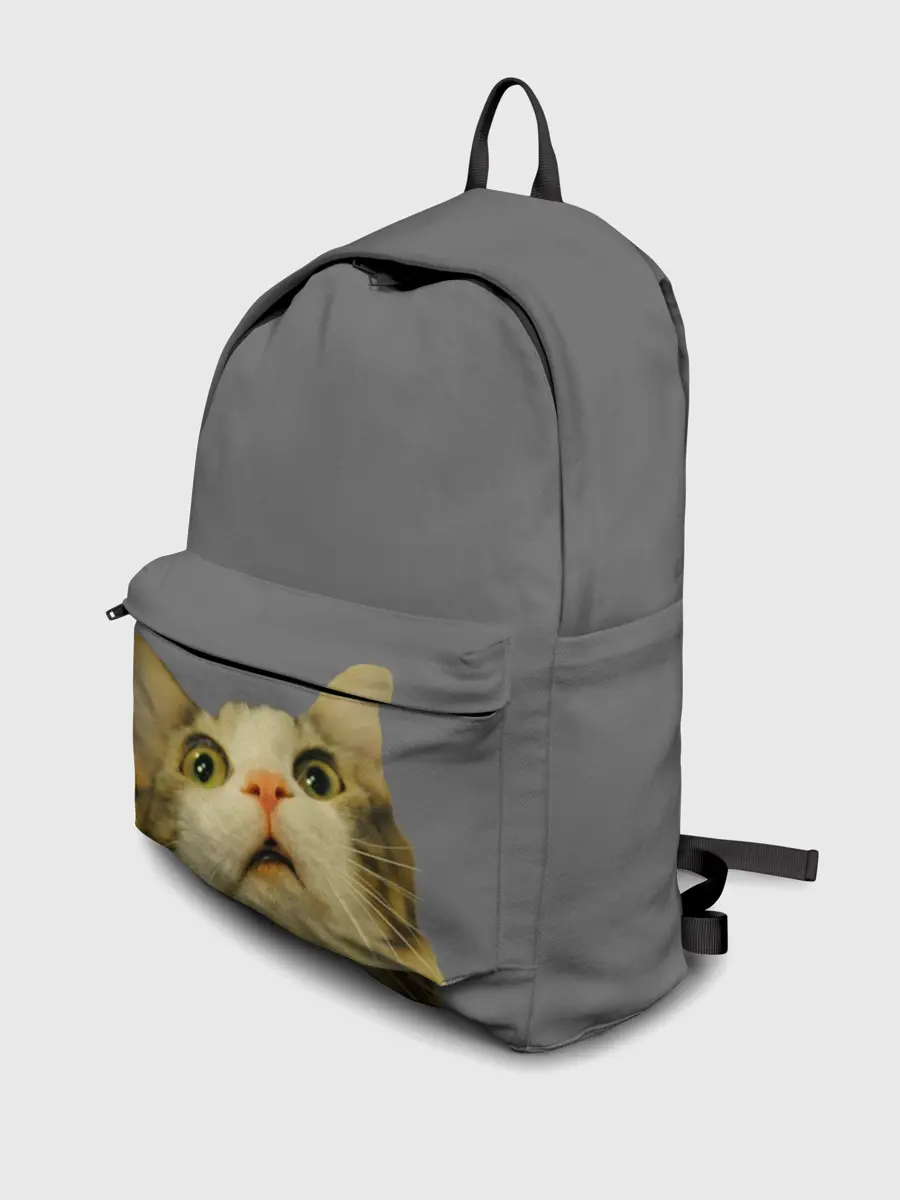 Рюкзак джинсовый / Коте смотрит вверх