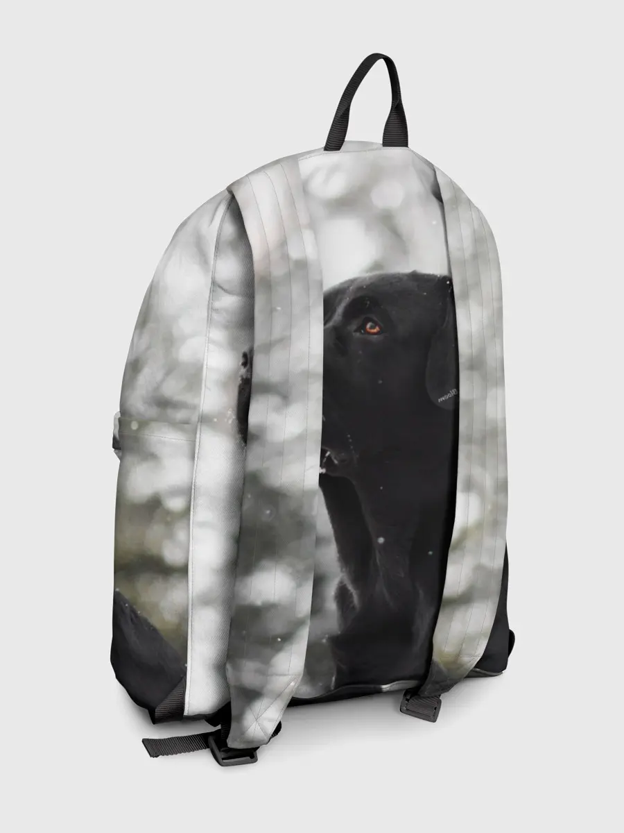 Рюкзак джинсовый / Лабрадор Марк