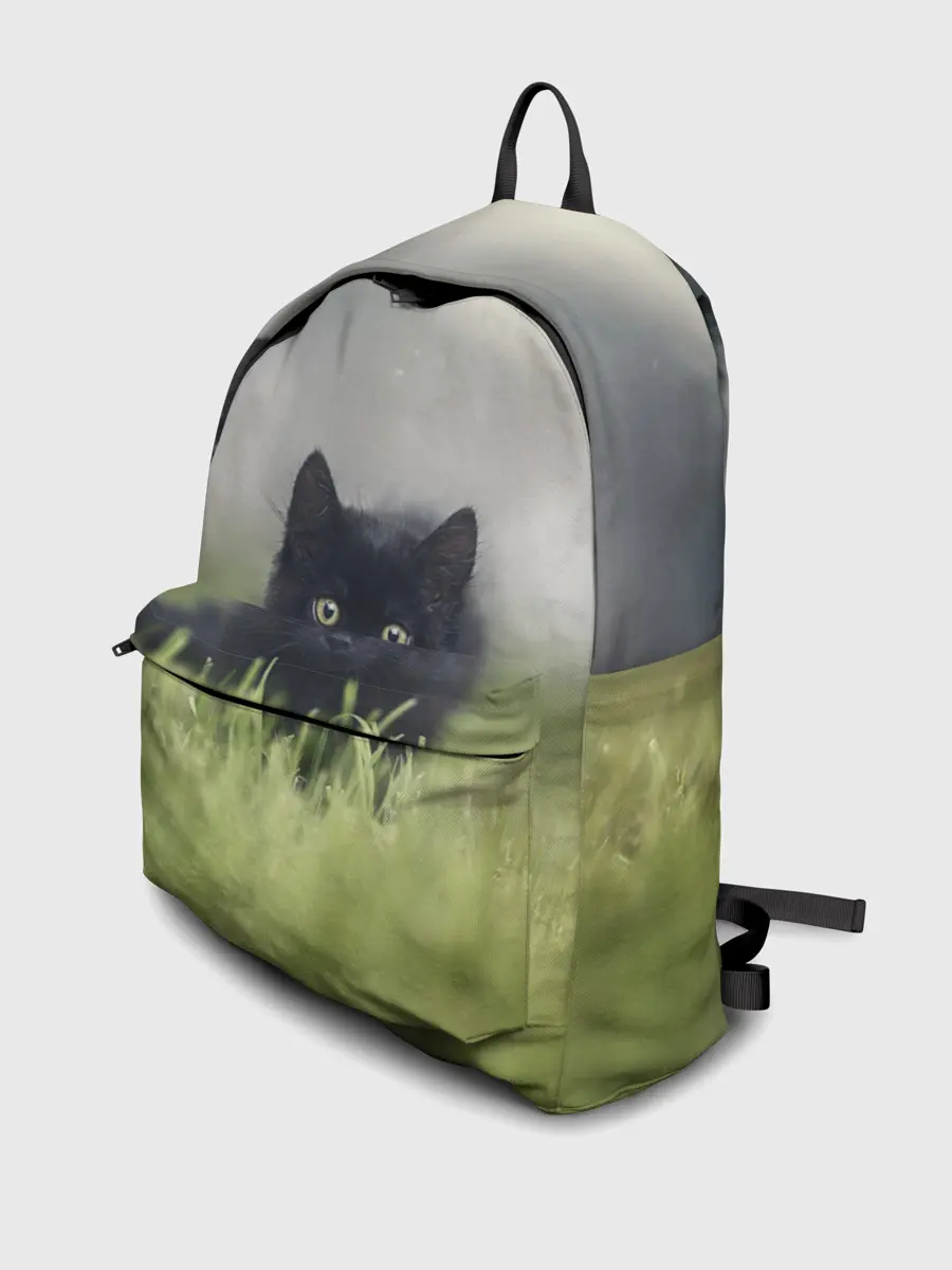 Рюкзак джинсовый / черный кот на лугу