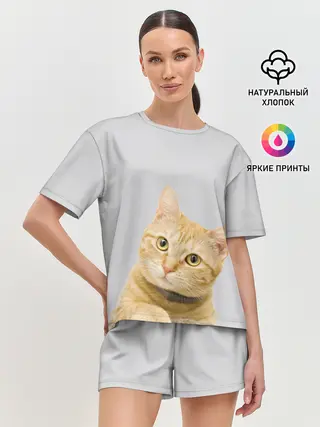 Женская пижама с шортами / Рыжий котик