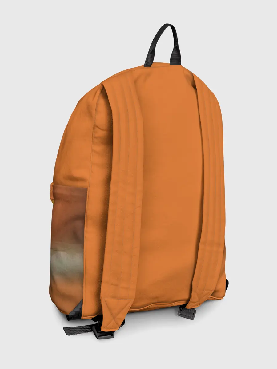 Рюкзак джинсовый / Разочарование