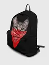 Рюкзак джинсовый / Gangsta Cat