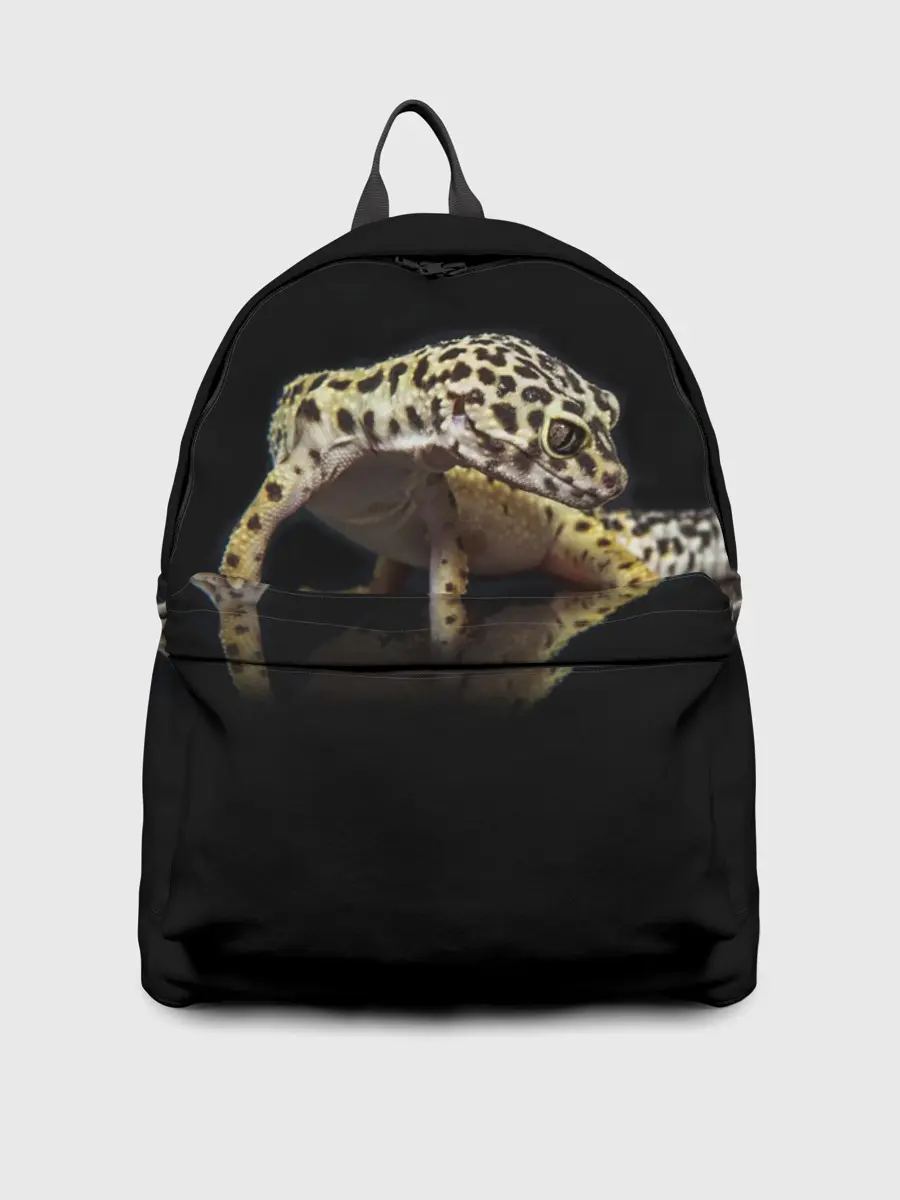 Рюкзак джинсовый / ЭУБЛЕФАР / EUBLEPHARIS