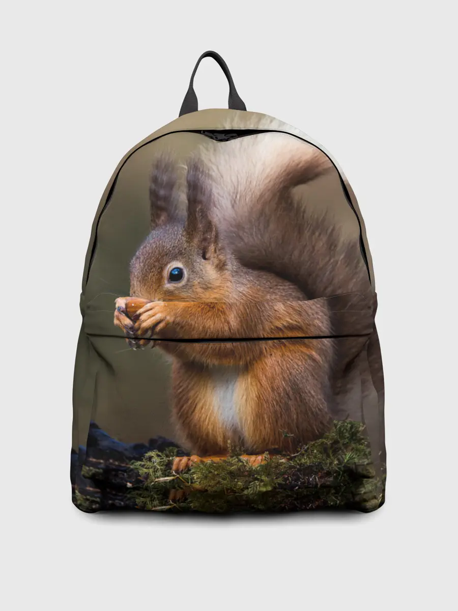 Рюкзак джинсовый / Белка