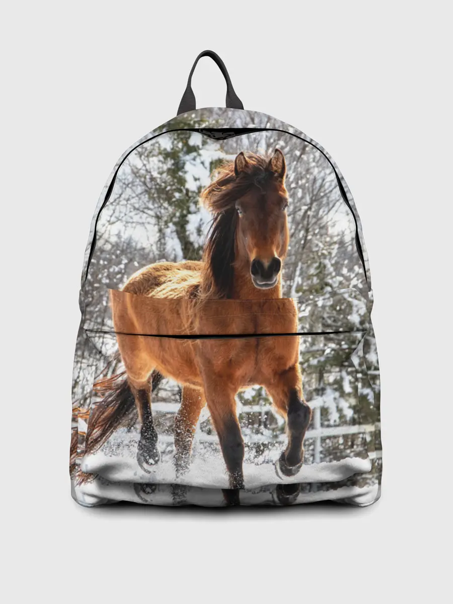 Рюкзак джинсовый / Конь и снег