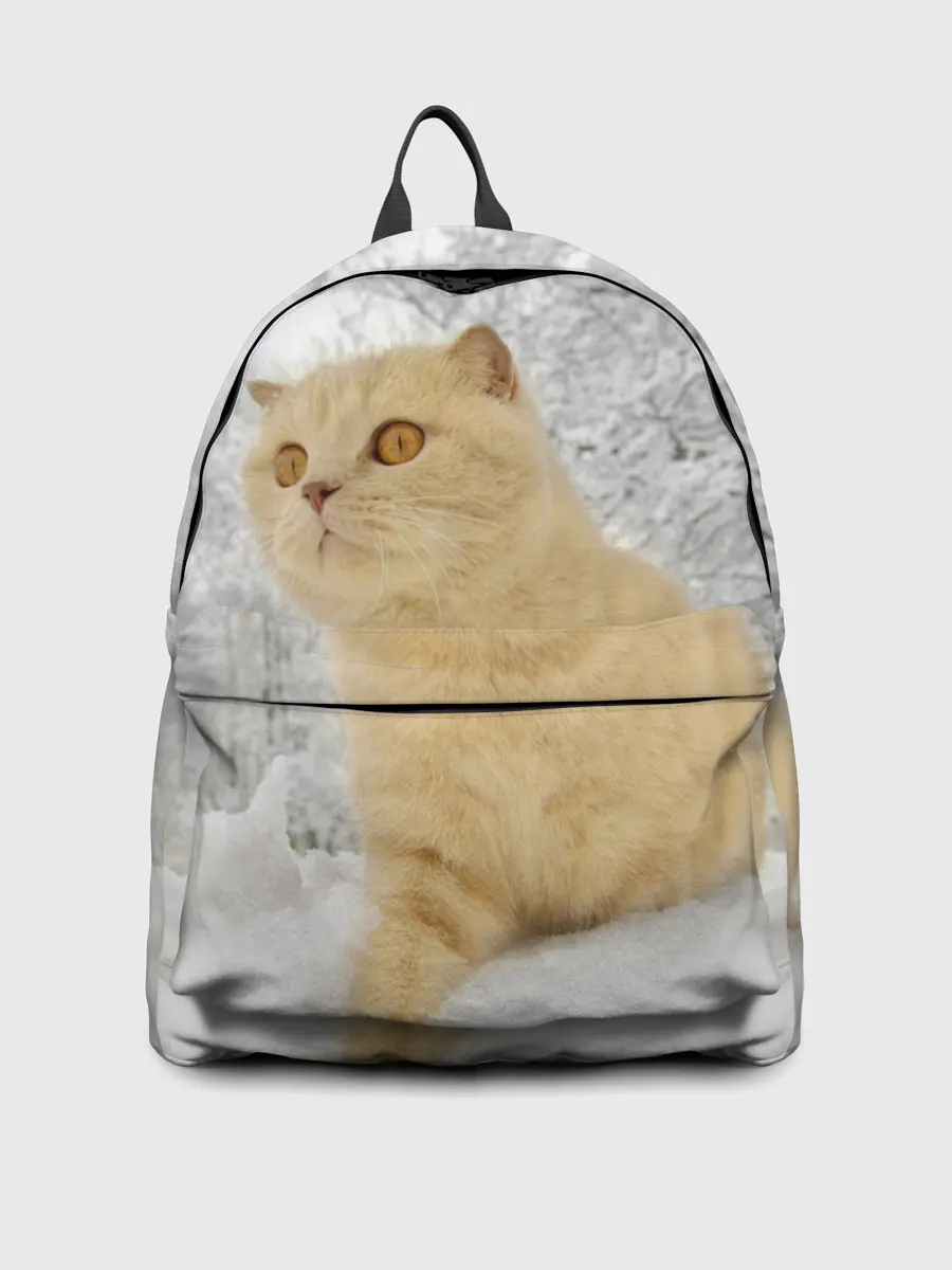 Рюкзак джинсовый / Кот и снег