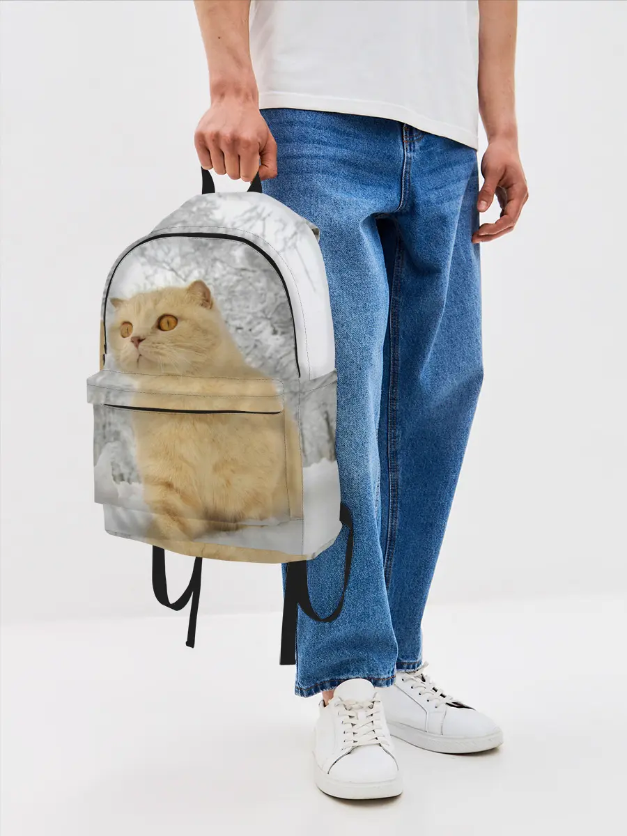 Рюкзак джинсовый / Кот и снег