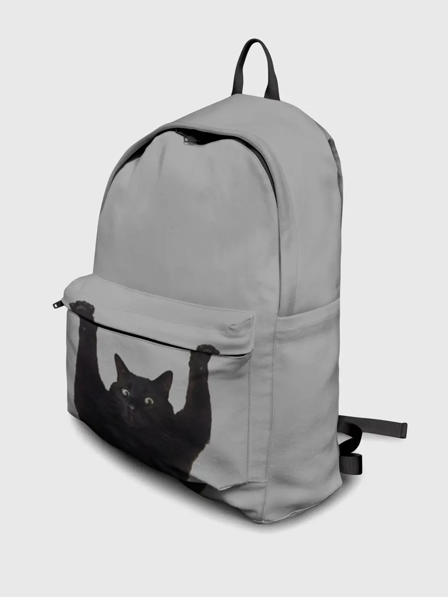 Рюкзак джинсовый / Кот сдается