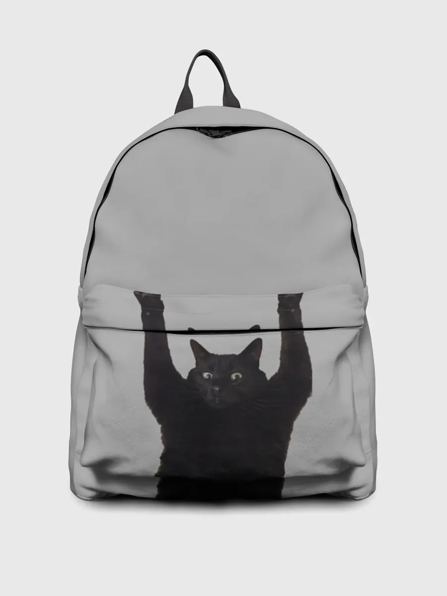 Рюкзак джинсовый / Кот сдается