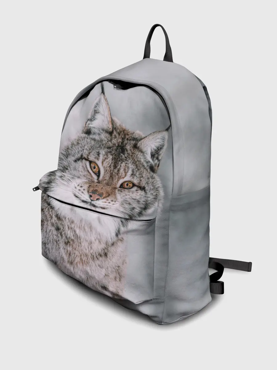 Рюкзак джинсовый / Рысь