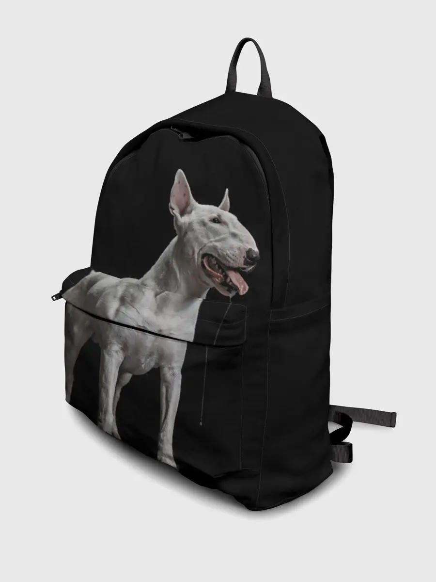 Рюкзак джинсовый / Bully