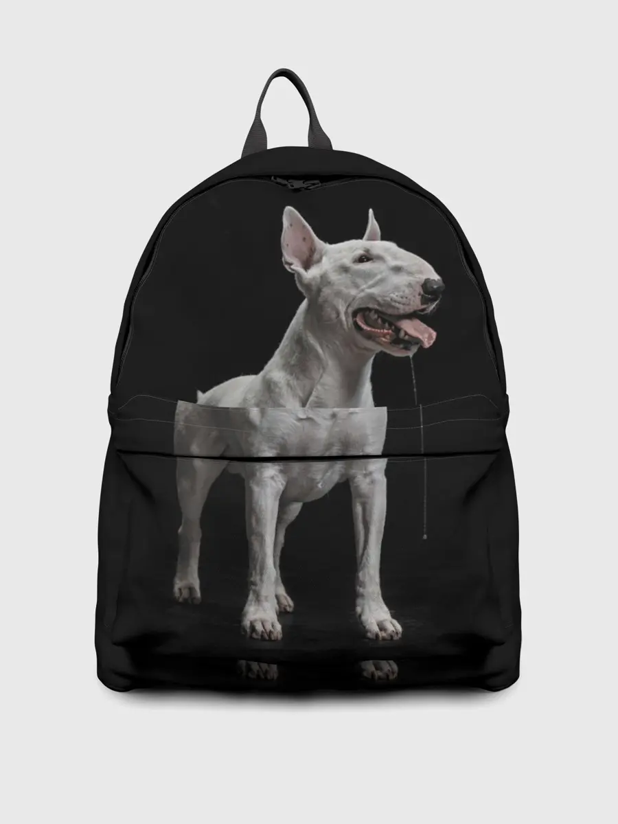 Рюкзак джинсовый / Bully