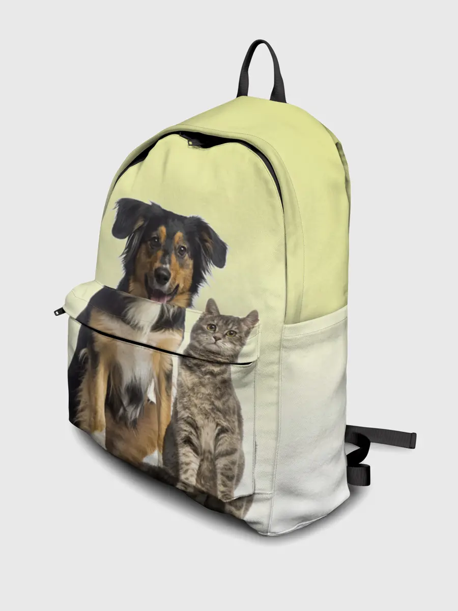 Рюкзак джинсовый / кошка и собака друзья